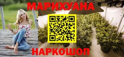 прущие крисы Бердск