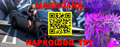 прущие крисы Бердск