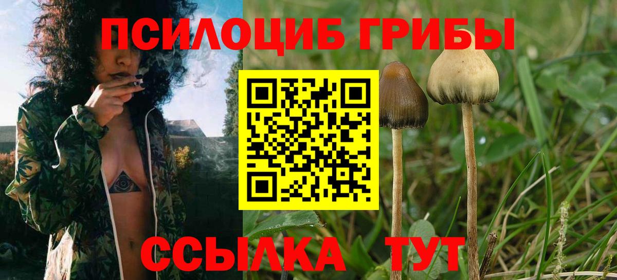 Псилоцибиновые грибы Psilocybe  Псилоцибиновые грибы Cubensis  Домодедово  Вход с VPN 