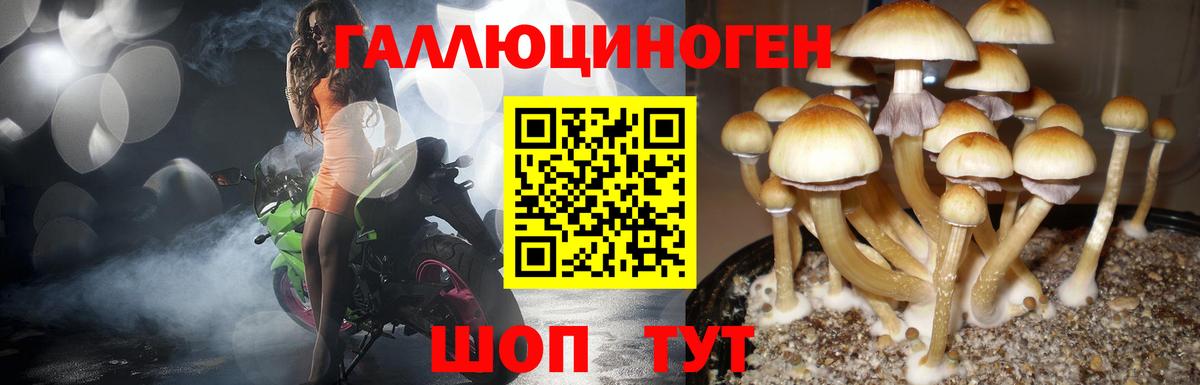 Псилоцибиновые грибы ЛСД Домодедово