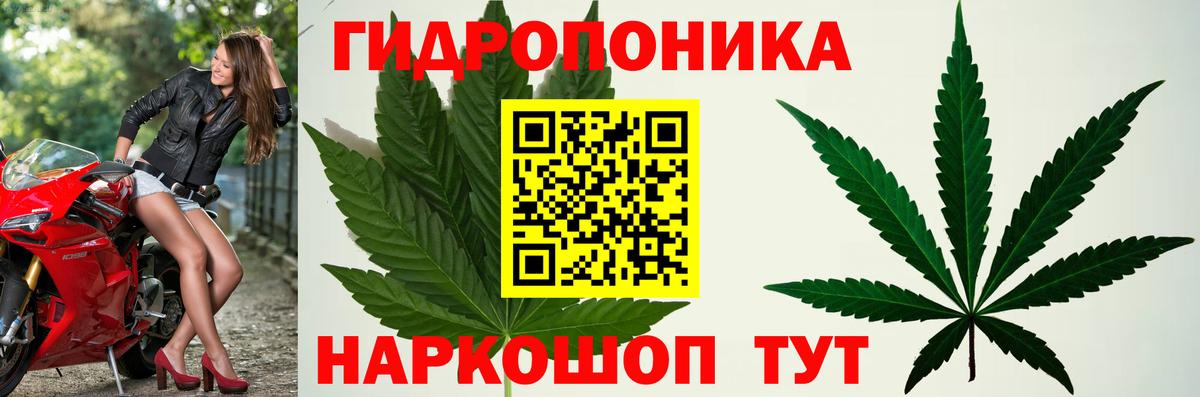 Бошки Шишки OG Kush  Вход с VPN  Домодедово  Марихуана AK-47 